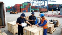 Hàng hóa nào bị cấm kinh doanh tạm nhập, tái xuất, chuyển khẩu? 