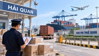 Hàng hóa xuất khẩu, nhập khẩu giữa khu phi thuế quan và nước ngoài thực hiện thủ tục hải quan thế nào?