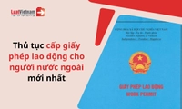 Thủ tục cấp giấy phép lao động cho người nước ngoài theo Nghị định 393 thực hiện thế nào?