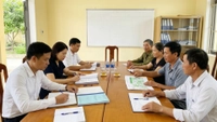 Tổ hợp tác cần đáp ứng những tiêu chí nào để được xem xét hưởng chính sách hỗ trợ của Nhà nước?