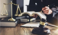 Cần những tài liệu gì để Tòa án xem xét tạm đình chỉ vụ án hoặc hoãn phiên tòa vi phạm đất đai theo cơ chế đặc thù?