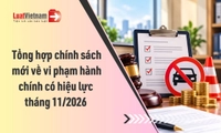 Chính sách mới về Vi phạm hành chính hiệu lực tháng 11/2026