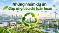 Dự án đáp ứng tiêu chí tuần hoàn gồm những nhóm nào?