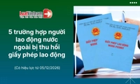 Trường hợp nào người nước ngoài bị thu hồi giấy phép lao động? [Mới nhất]