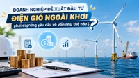 Doanh nghiệp đề xuất đầu tư điện gió ngoài khơi phải đáp ứng yêu cầu về vốn như thế nào?