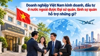 Doanh nghiệp Việt Nam kinh doanh, đầu tư ở nước ngoài được Đại sứ quán, lãnh sự quán hỗ trợ những gì?