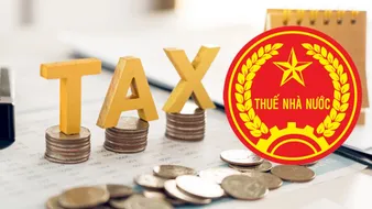 Cách kiểm tra tiền thuế phải nộp trên eTax đơn giản trên điện thoại