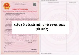 Mới: Mẫu sổ đỏ, sổ hồng sẽ áp dụng từ 01/01/2025 (đề xuất)