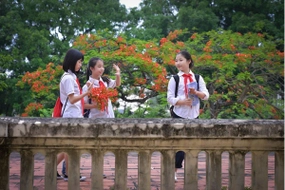 Còn bao nhiêu ngày nữa nghỉ hè? Nghỉ hè có mấy tháng 2024?