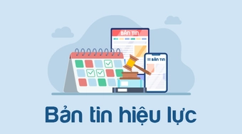 Bản tin hiệu lực số 33.2025