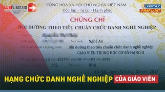 Video: Hạng chức danh nghề nghiệp là gì? Giáo viên có những hạng nào?