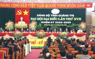 Tổ chức Đảng bộ cấp tỉnh tại Việt Nam là gì?