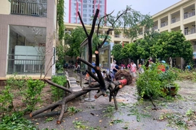 Hà Nội: Chưa tổ chức dạy học ở các trường chưa đảm bảo điều kiện học tập an toàn sau bão