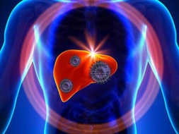 Bộ Y tế ban hành Hướng dẫn chẩn đoán và điều trị bệnh viêm gan vi rút C