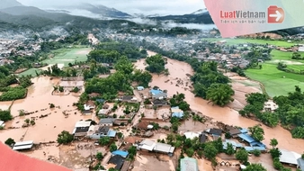 Khẩn trương chi trả quyền lợi bảo hiểm cho khách hàng bị ảnh hưởng bởi bão số 3