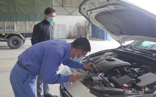 Supplement 02 cases of revocation of certificates of eligibility for provision of motor vehicle inspection services