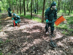 Nâng mức bồi dưỡng với người trực tiếp khảo sát, rà phá bom, mìn từ 01/12/2024