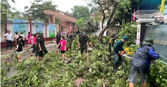 Bộ GDĐT hướng dẫn khen thưởng thành tích trong phòng, chống bão, lụt 