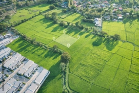 Hà Nội công bố Danh mục 61 TTHC lĩnh vực đất đai từ 28/10/2024