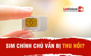 Sim chính chủ để lâu không dùng bị thu hồi có lấy lại được không?