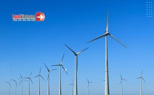 Tiêu chí đánh giá hồ sơ mời thầu dự án đầu tư công trình năng lượng sạch