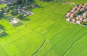 5 nội dung thanh tra về việc chấp hành pháp luật đất đai ở các tỉnh năm 2025