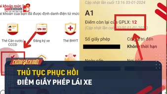 Video: Làm thế nào để phục hồi điểm giấy phép lái xe 2025?