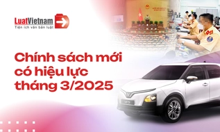 Chính sách mới có hiệu lực tháng 3/2025