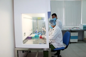 Tăng mức bồi dưỡng giám định tư pháp theo ngày công từ 20/5/2025