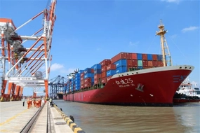 How to Obtain Seaport Investment Licenses in Vietnam: Step-by-Step Guide