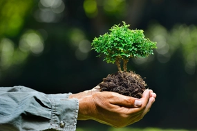 Environmental Compliance in Vietnamese Seaports: Best Practices