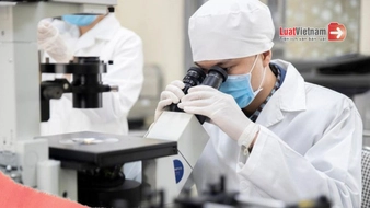 Mức lương của chuyên gia cao cấp [mới nhất theo Nghị định 92/2025]