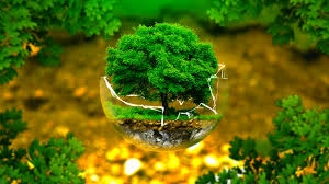 3 quy chuẩn kỹ thuật quốc gia về chất lượng môi trường xung quanh áp dụng từ 14/11/2025