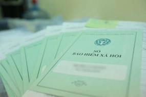 BHXH TP Hồ Chí Minh chỉ đạo về việc rà soát sổ bảo hiểm xã hội