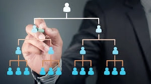 Số lượng Phó Giám đốc sở, Phó Trưởng phòng, Phó Chi cục trưởng từ 16/6/2025