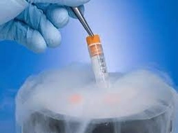 3 trường hợp được hiến tinh trùng, hiến noãn, hiến phôi từ 01/10/2025