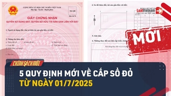 Video: Chính sách mới về cấp sổ đỏ từ 01/7/2025