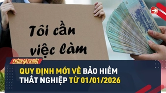 Video: Người thất nghiệp không thể bỏ qua những quy định này