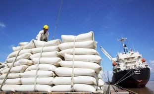 Draft decree empowers localities to license foreign investors’ trading activities