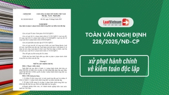 Tải toàn văn Nghị định 228/2025/NĐ-CP xử phạt hành chính về kiểm toán độc lập