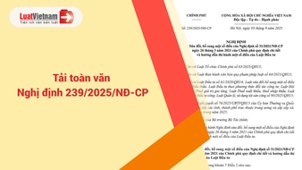 Tải toàn văn Nghị định 239/2025/NĐ-CP hướng dẫn Luật Đầu tư [PDF, Word]