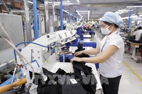 Vietnam’s green horizon: A 2025-30 plan for environmental industry