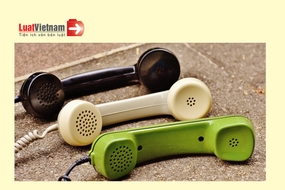 Sẽ thay các số 113, 114, 115 bằng đầu số nào?