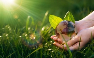 Mẫu Tờ khai nộp phí bảo vệ môi trường đối với nước thải sinh hoạt