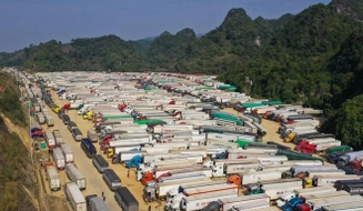 Không để phát sinh tình trạng ùn ứ nông sản, trái cây tươi tại khu vực biên giới
