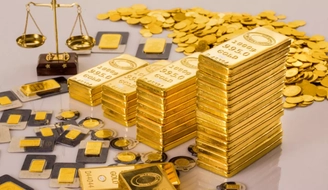 Mẫu Đơn đề nghị cấp giấy phép sản xuất vàng miếng mới nhất