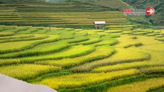 Luật Đất đai 2026 có gì mới? Sửa đổi quy định nào?