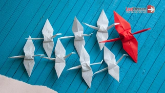 Tiêu chuẩn chức danh công chức lãnh đạo cơ quan chuyên môn UBND cấp tỉnh, cấp xã [Dự kiến]