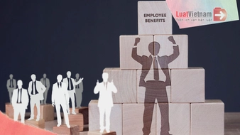 3 cơ chế đặc biệt trong tuyển dụng, bố trí, sử dụng và đãi ngộ cán bộ theo Kết luận 205