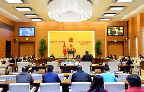 Cơ cấu, thành phần, số lượng đại biểu HĐND từng cấp